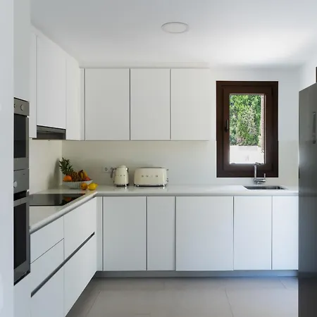 Guzman - Artista קלפה